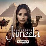Artwork for "Jameela"