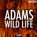 Artwork for "Wild Life"
