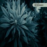 Artwork for "No Bammer"