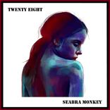 Artwork voor "Twenty Eighy"