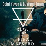 Artwork voor "Tribal Maestro"