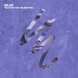 Artwork voor "The Stone (feat. Biljana Pais)"