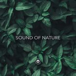Artwork für "Sound Of Nature"