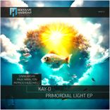 Primordial Light