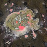 Artwork for "CRTTR-CLB-007"