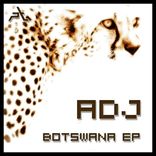 Artwork for "Botswana EP"