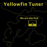 Artwork for "We Are the Fish"