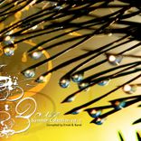 Artwork for "Summer Collection, Vol. 2 - Dawn"