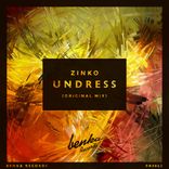 Artwork for "Undress"