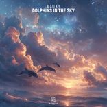 Artwork voor "Dolphins In The Sky"