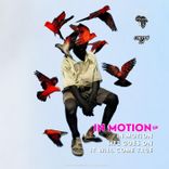 Portada para "In Motion"
