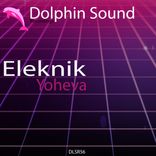 Artwork voor "Eleknik"