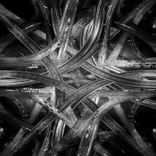 Artwork voor "Barotte"