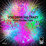 Artwork for "You Drive Me Crazy"