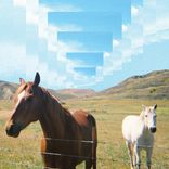 I'm Shy When I'm Around You