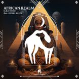 Artwork für "African Realm"