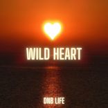 Artwork für "Wild Heart"