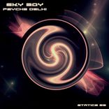 Artwork für "Psyche Delhi"