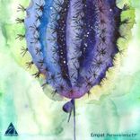 Portada para "Perseverenta"