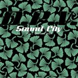 Portada para "Sound City"