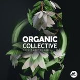 Artwork for "Organic Collective"
