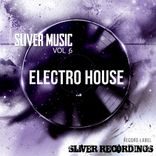 Artwork voor "Sliver Music: Electro House, Vol.6"