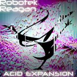 Artwork for "Acid Expansion"