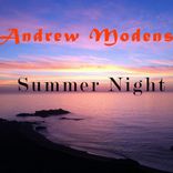 Artwork voor "Summer Night"