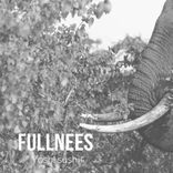 Fullness