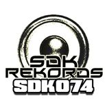 Sorry For Party Rocking (Disco In This)