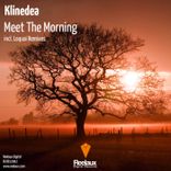 Portada para "Meet the Morning"