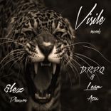 Portada para "Pleasure"