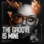 Artwork for "The Groove Is Mine"