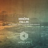 Artwork voor "Fallin"