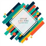 Portada para "Like Fire"