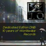 Artwork für "Dedicated Edition 10 Years of Worldwake Records"