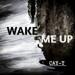 Artwork voor "Wake me up"
