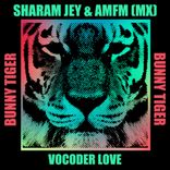 Artwork for "Vocoder Love"