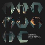 Mosquito in the Room