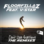Artwork voor "Don't Say Anything (The Remixes)"