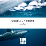 Part 3 - Seagullight