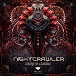 Artwork für "Among The Shadows"