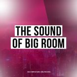 Artwork für "The Sound Of Big Room"