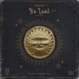 Portada para "Ya Leel"