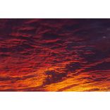 Artwork for "Experience"