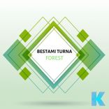 Artwork for "Forest"