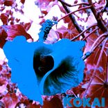 Artwork for "Kokai"