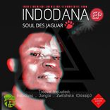 Artwork for "Indodana"
