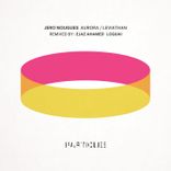 Artwork voor "Aurora / Leviathan"