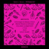 Artwork for "Robbing Daylight VA"